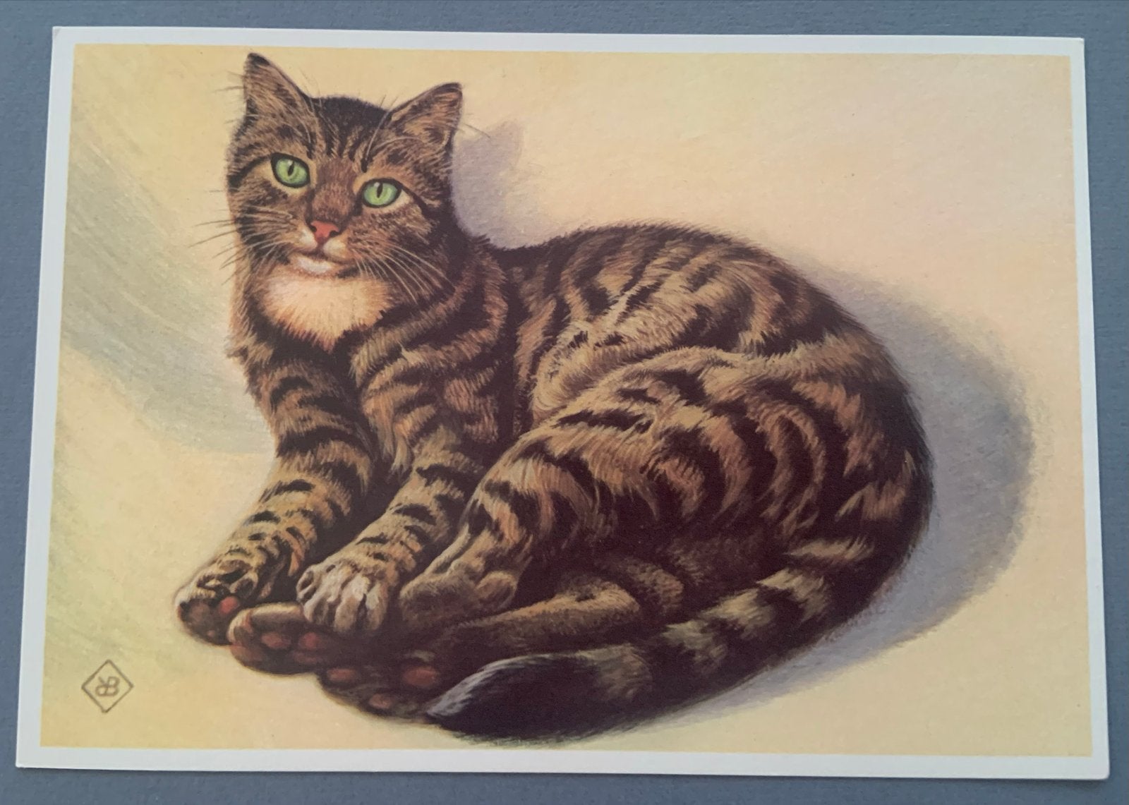 Tijger in Klein Formaat - Kat, Verzenden, 1960 tot 1980, Ongelopen