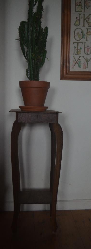 Prachtige oude plantentafel, Ophalen, Gebruikt