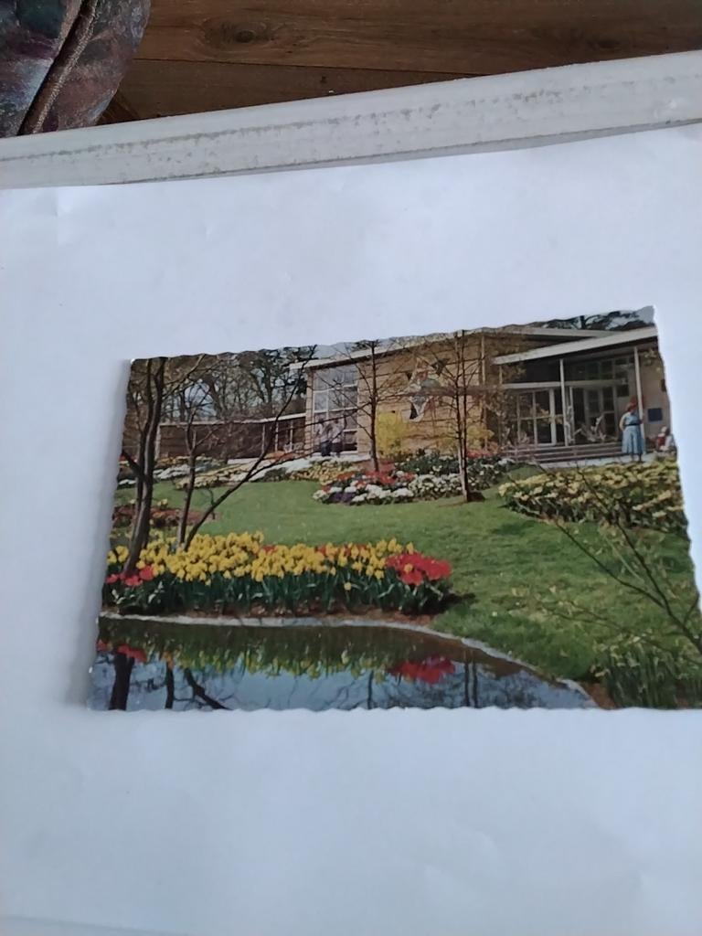 KEUKENHOF LISSE, Ophalen of Verzenden