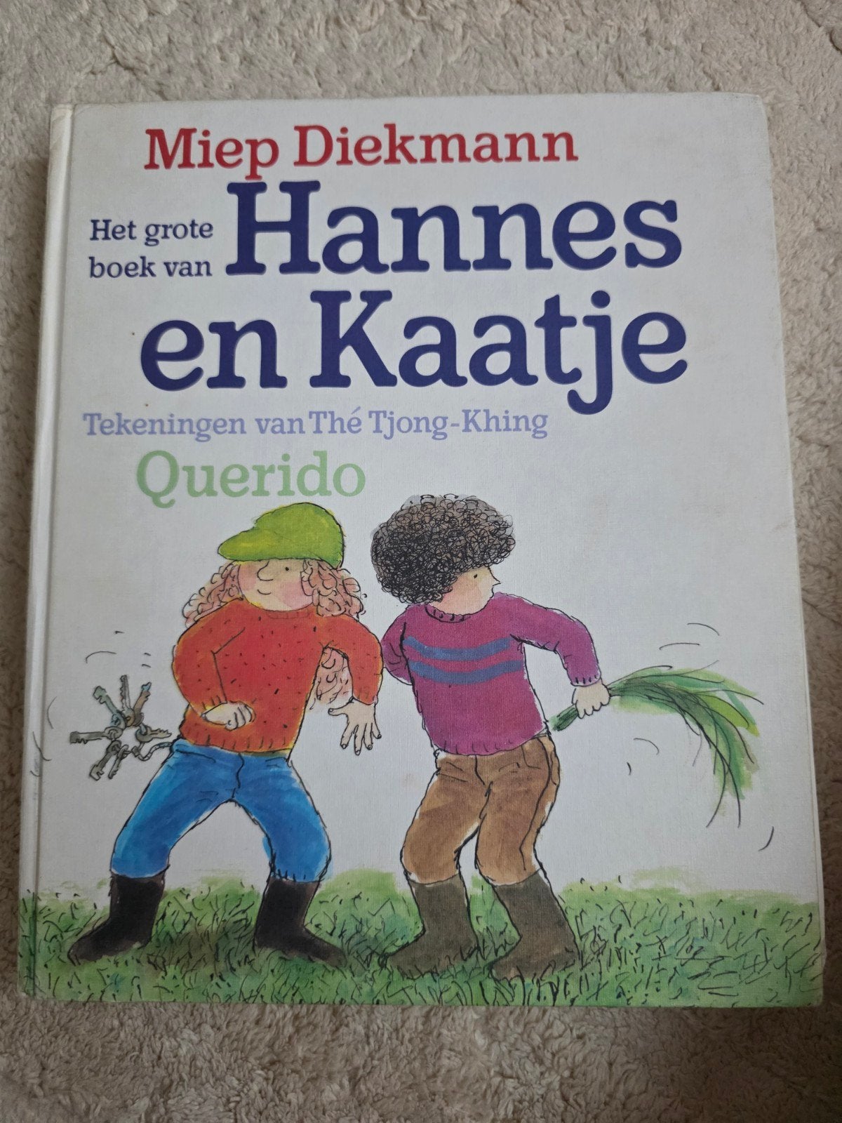 Het grote boek van Hannes en Kaatje - Miep Diekmann, Ophalen of Verzenden, Zo goed als nieuw, Miep Diekmann, Fictie algemeen