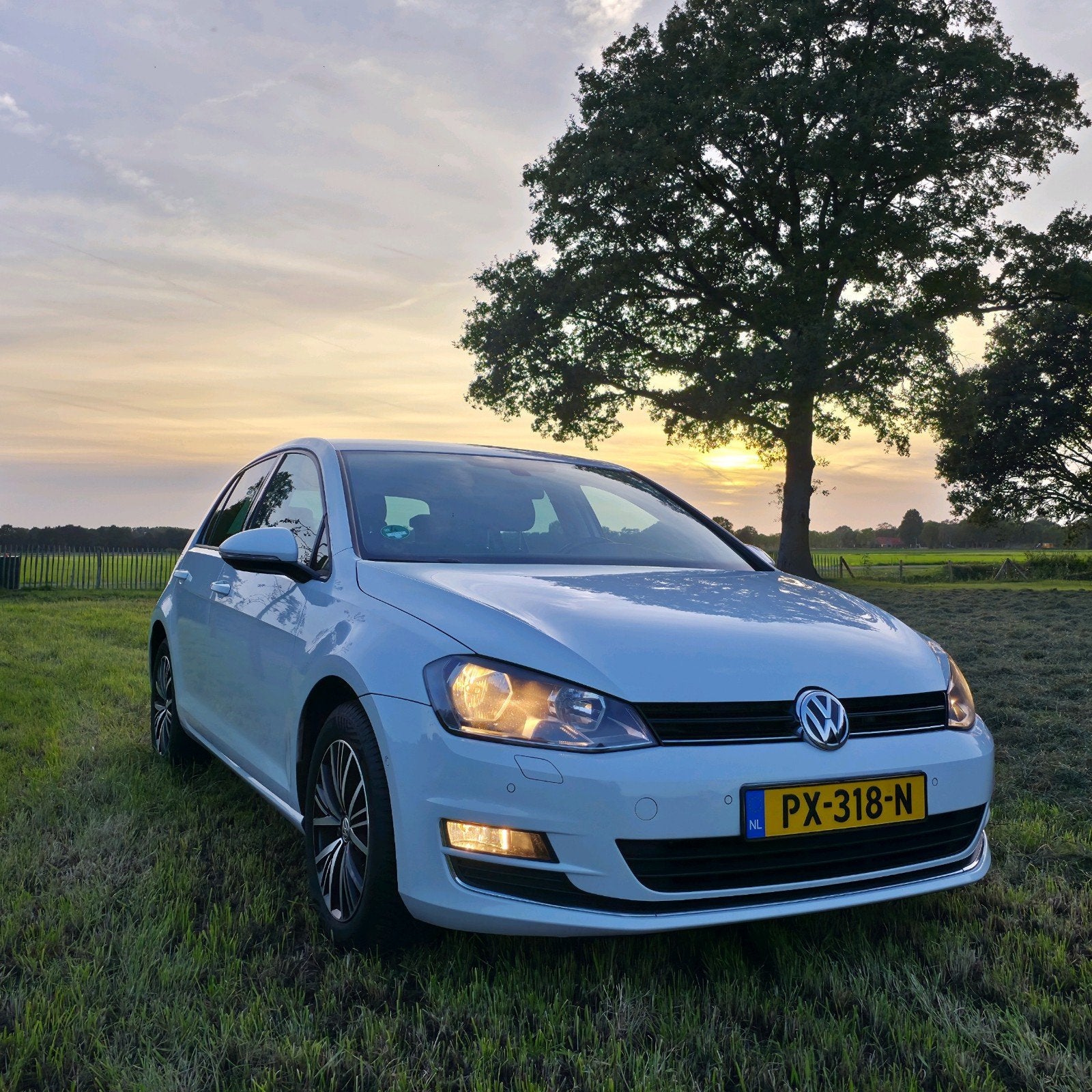 Volkswagen Golf 1.6 TDI 81KW 5D 2016 Wit, Voorwielaandrijving, Stof, 4 cilinders, Wit