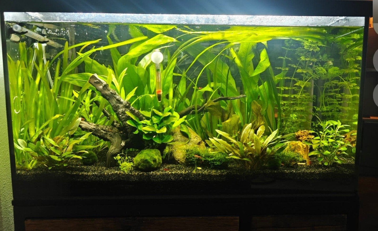 Aquael Leddy 75 105L | Chihiros WRGB 700 | CO2 | Oase Smart, Dieren en Toebehoren, Ophalen of Verzenden, Gebruikt, Leeg aquarium