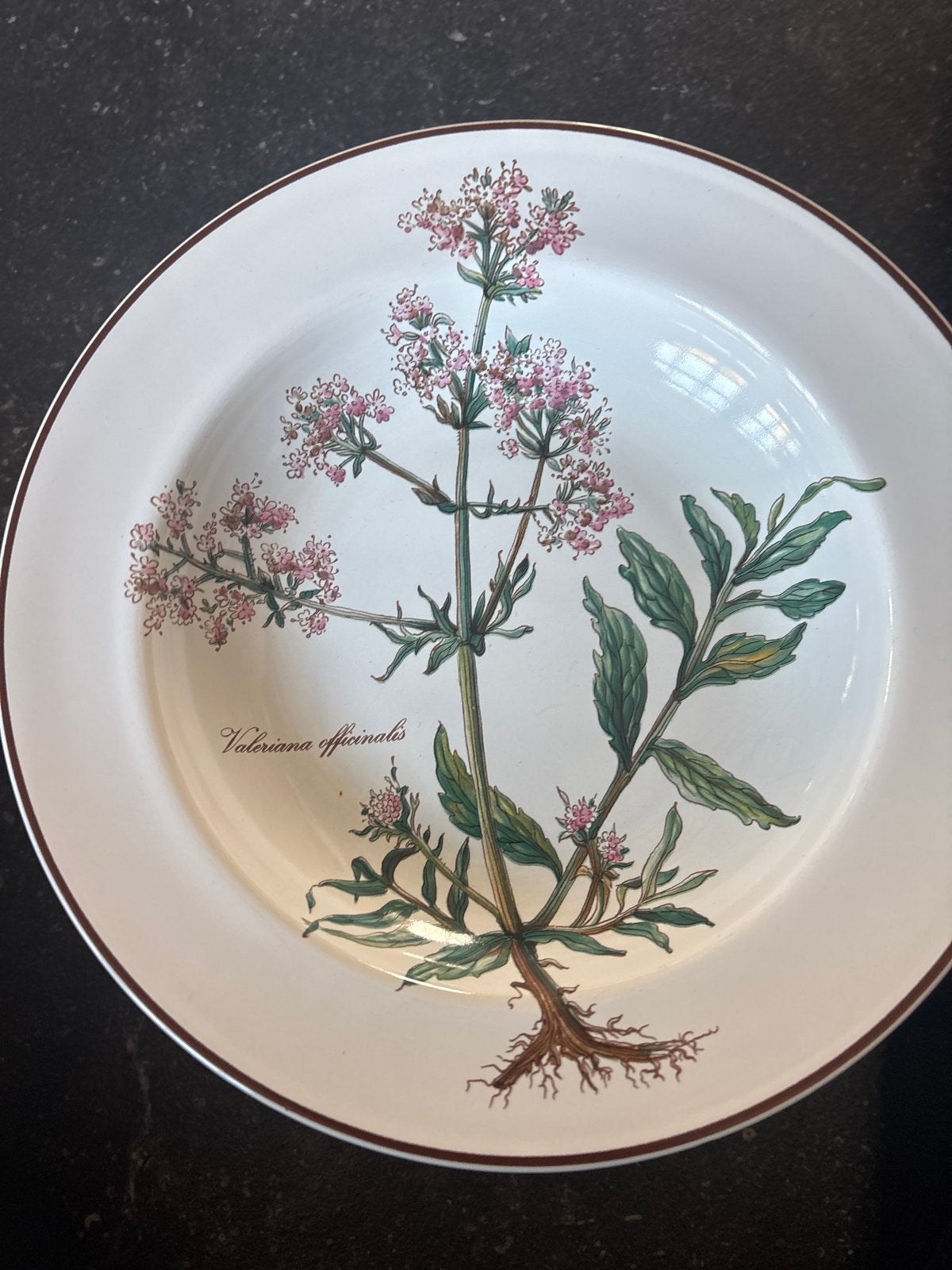 8 gebruikte diepe borden Villeroy & Boch Botanica 22 cm, Gebruikt, Keramiek, Villeroy & Boch, Ophalen of Verzenden