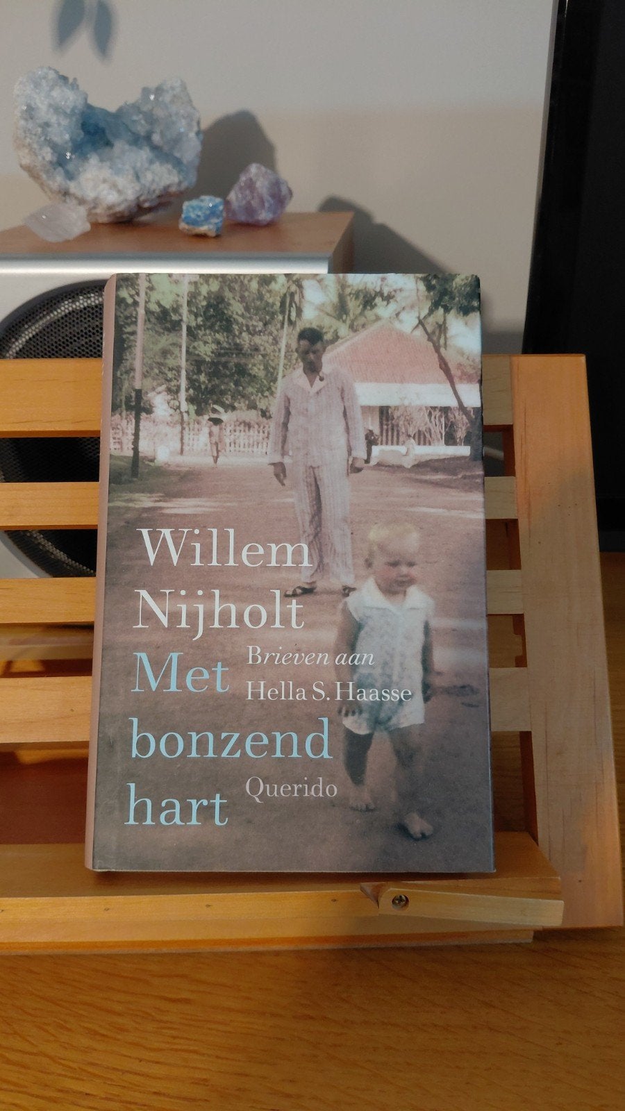 Willem Nijholt: Met bonzend hart-Brieven aan Hella S. Haass, Boeken, Ophalen of Verzenden, Zo goed als nieuw, Willem Nijholt, Hella S. Haasse