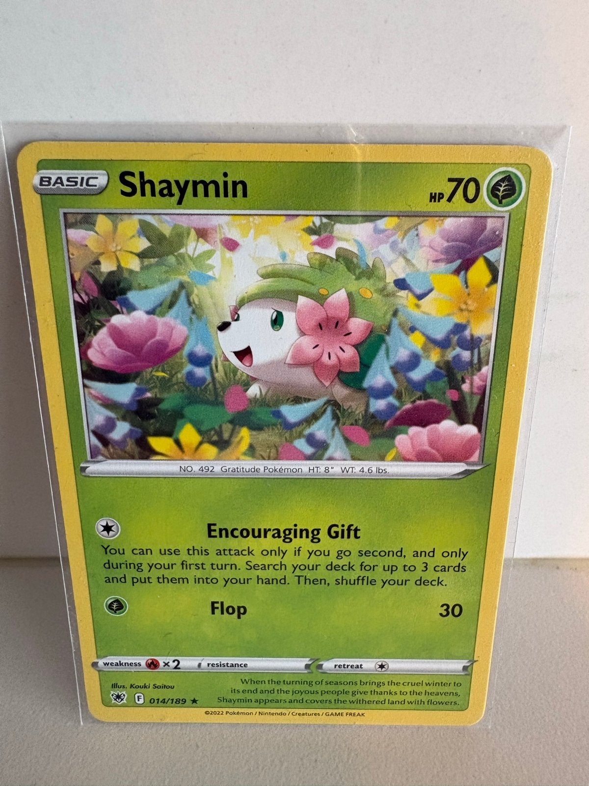 Pokémon Kaart Shaymin 014/189 - Basic HP70, Verzenden, Nieuw, Losse kaart
