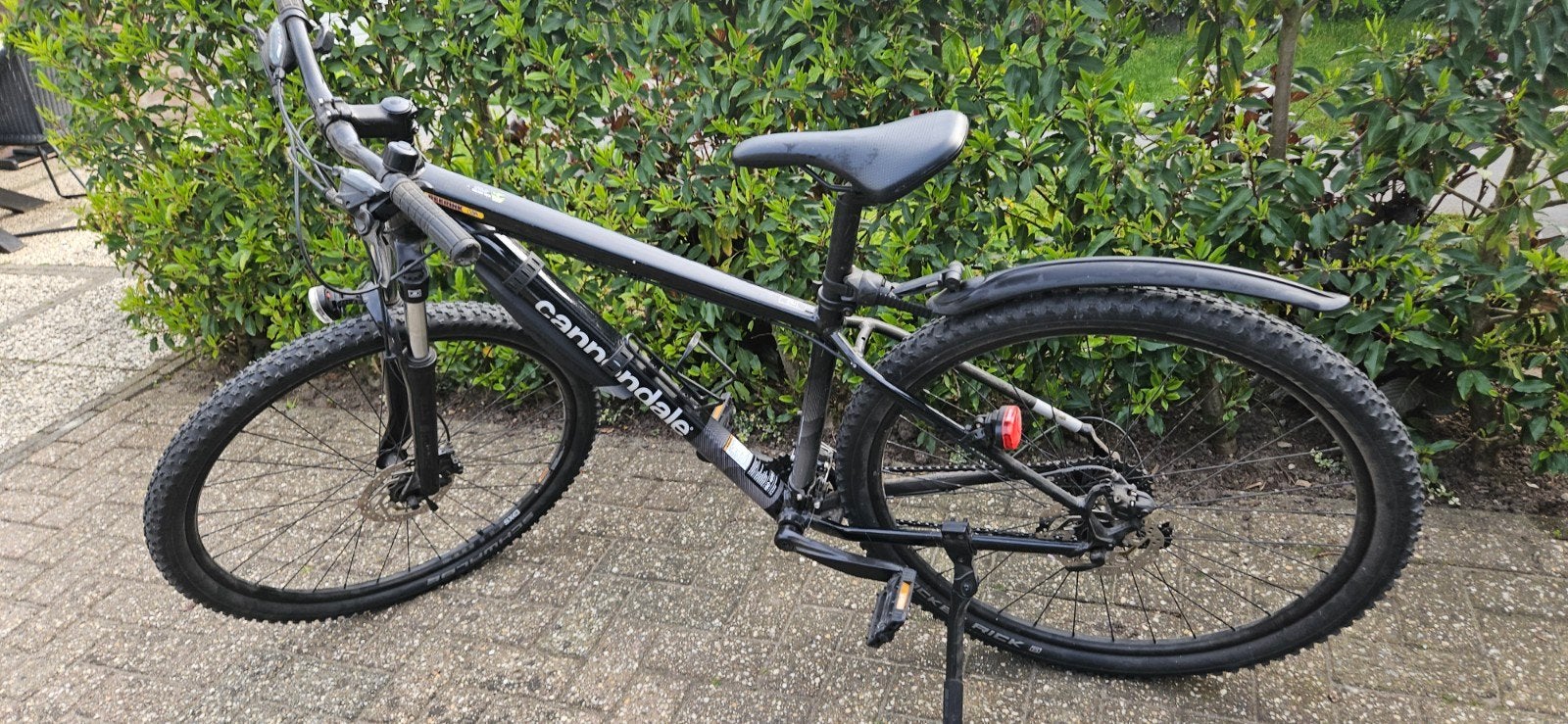 mountainbike, Fietsen en Brommers, Zo goed als nieuw, Dames, Schijfrem, Ophalen