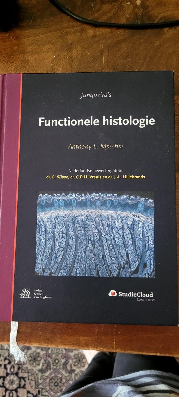 Junqueira's Functionele Histologie - 15e druk nieuwstaat, Verzenden, Beta, Nieuw, WO