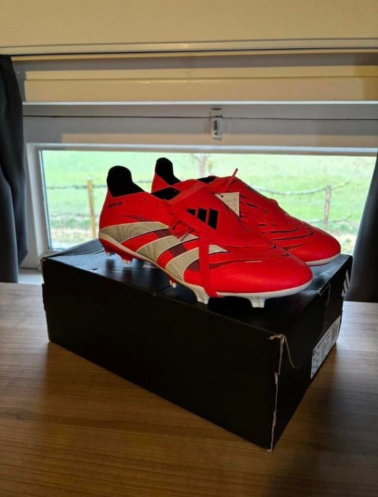 Adidas Predator, Sport en Fitness, Schoenen, Nieuw, Maat L, Ophalen of Verzenden