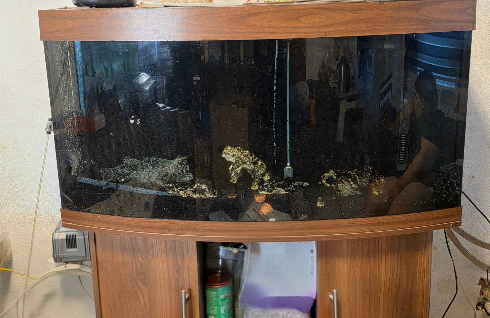 juwel vision 260, Dieren en Toebehoren, Ophalen, Zo goed als nieuw, Leeg aquarium, Juwel