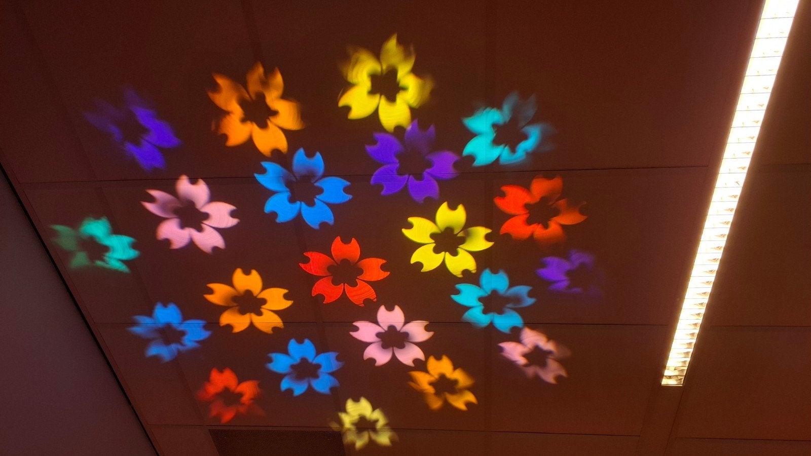 Showtec Lichteffect Projector - Bloemenpatroon, Ophalen, Gebruikt