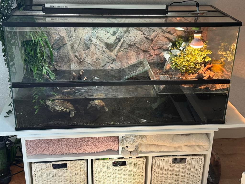 Compleet aqauterrarium: 100x40x50 met onderkast, Dieren en Toebehoren, Ophalen, Zo goed als nieuw, Terrarium of Paludarium