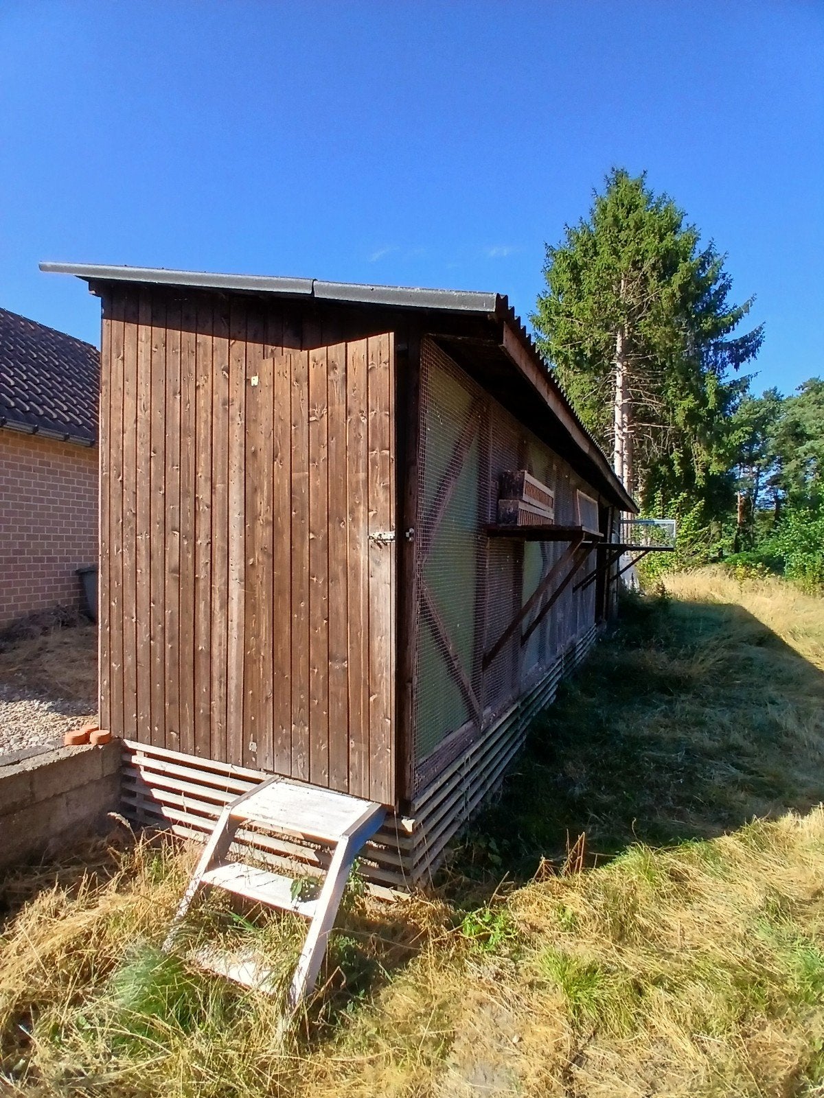 duivenhok voor een klein prijsje, Ophalen, Hout, Vogelkooi