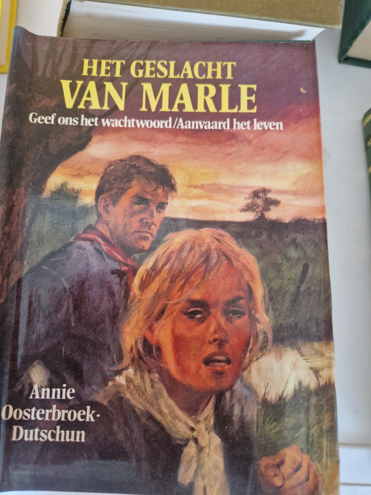 Het Geslacht van Marle - Annie Oosterbroek-Dutschun, Verzenden, Gelezen, Annie Oosterbroek-Dutschun, Nederland