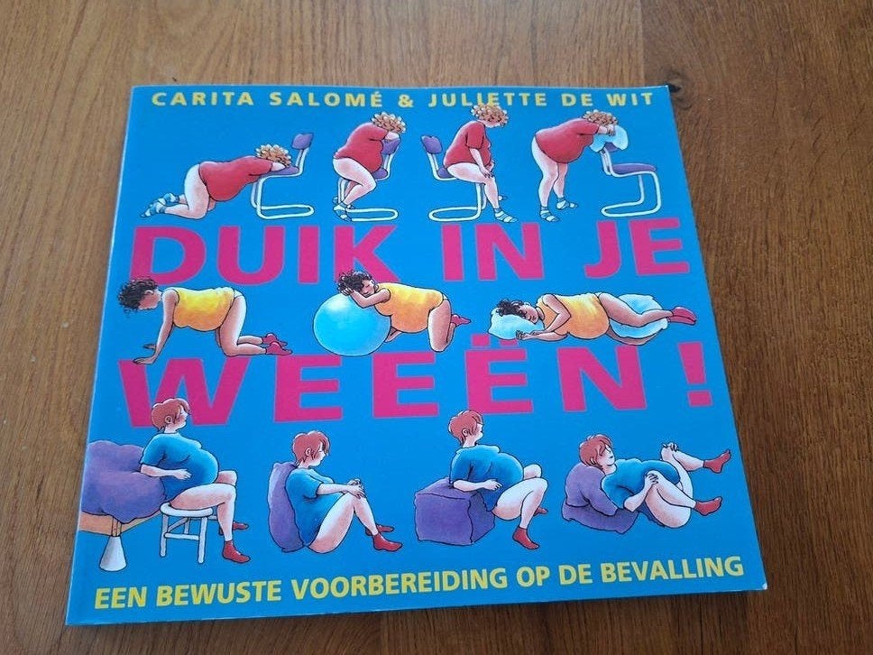 Duik in je weeën! - Zwangerschaps- en bevallingsboek, Ophalen of Verzenden, Zo goed als nieuw, Zwangerschap en Bevalling, Carita Salomé & Juliette de Wit