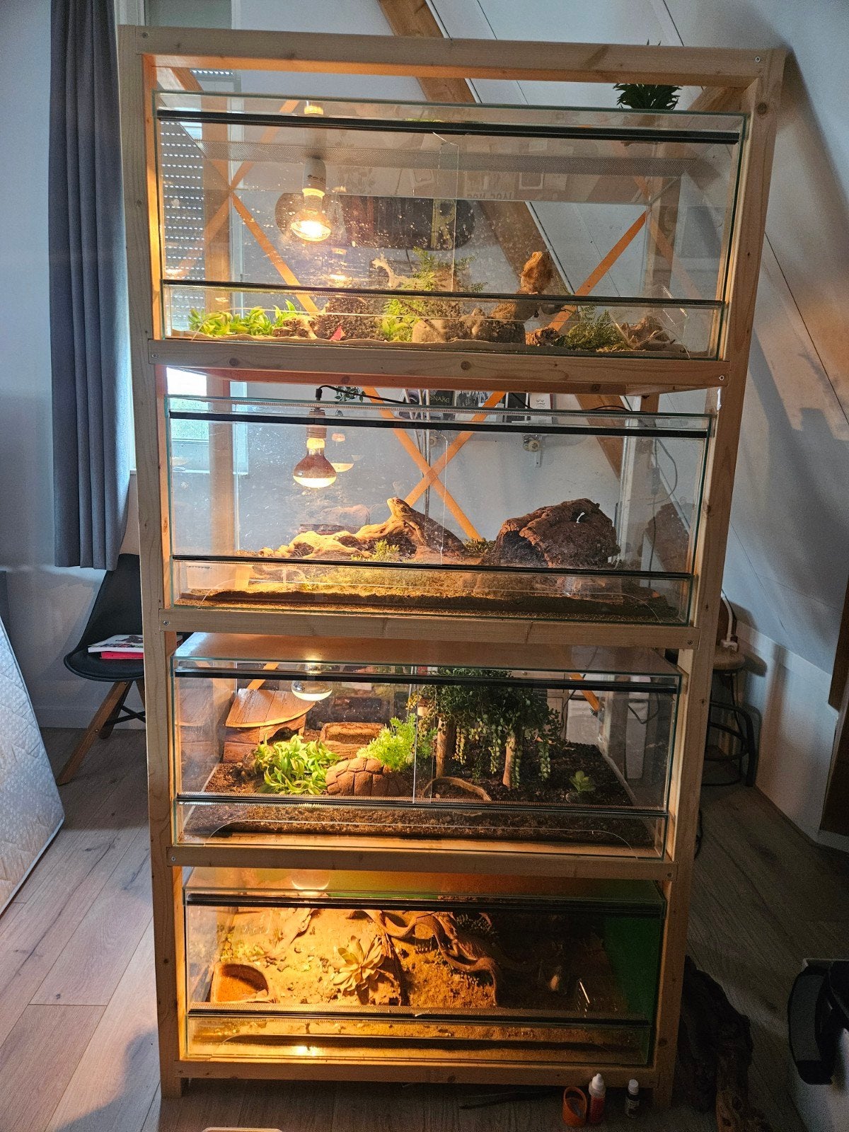 3 terrariums met warmte- en uv lamp en 3 baardagaams, Ophalen, Gebruikt, Terrarium of Paludarium