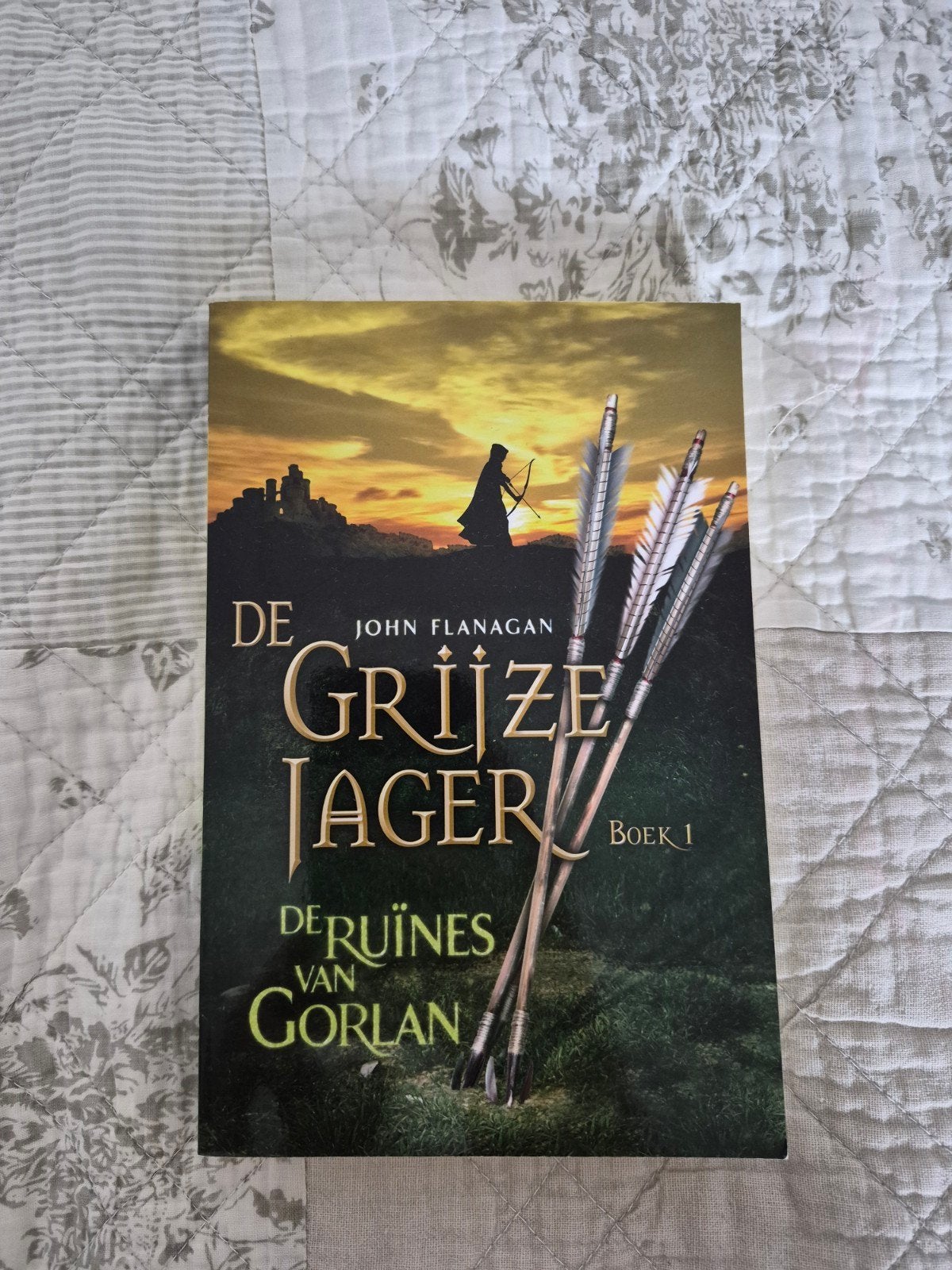 de grijze jager, Boeken, Ophalen of Verzenden