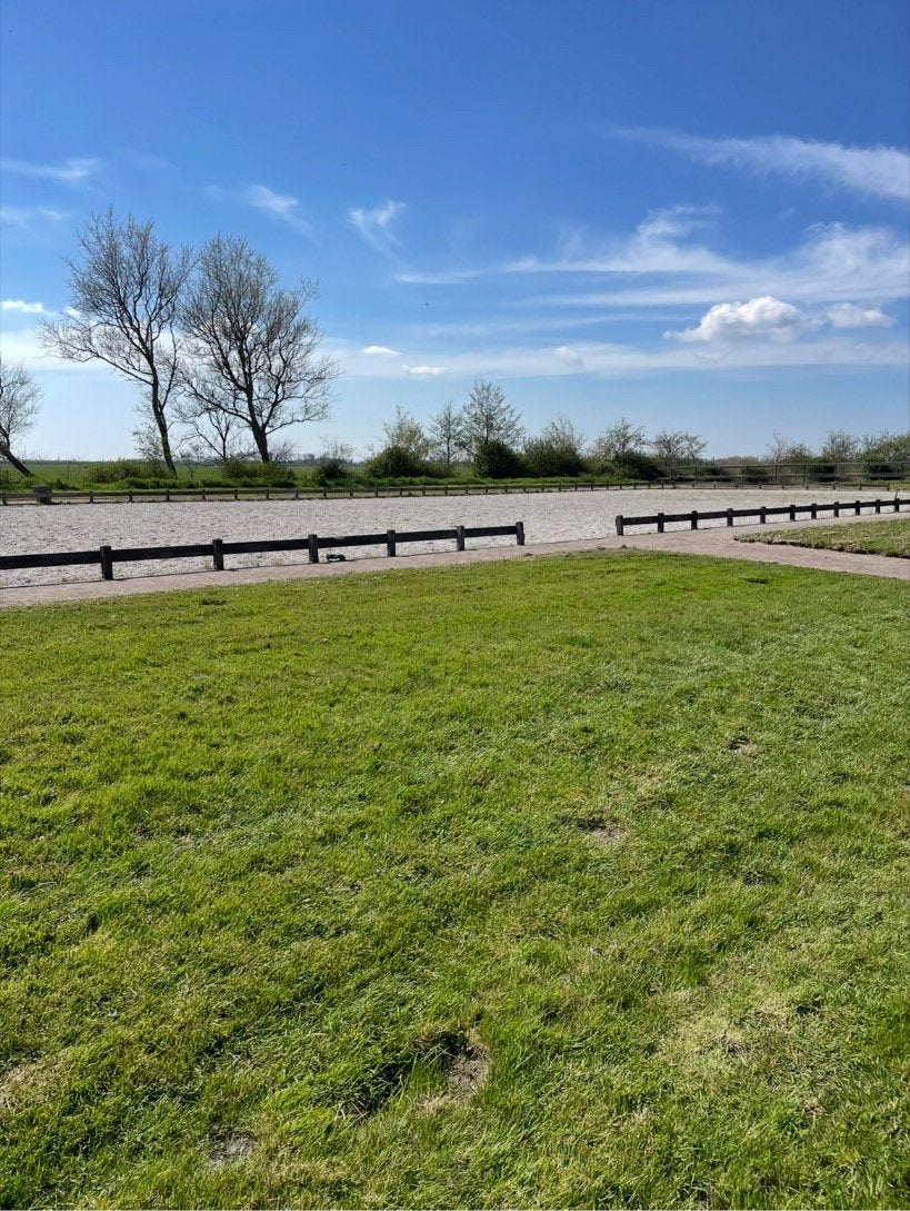 Box beschikbaar op prive stal, Ruin, Dressuurpaard