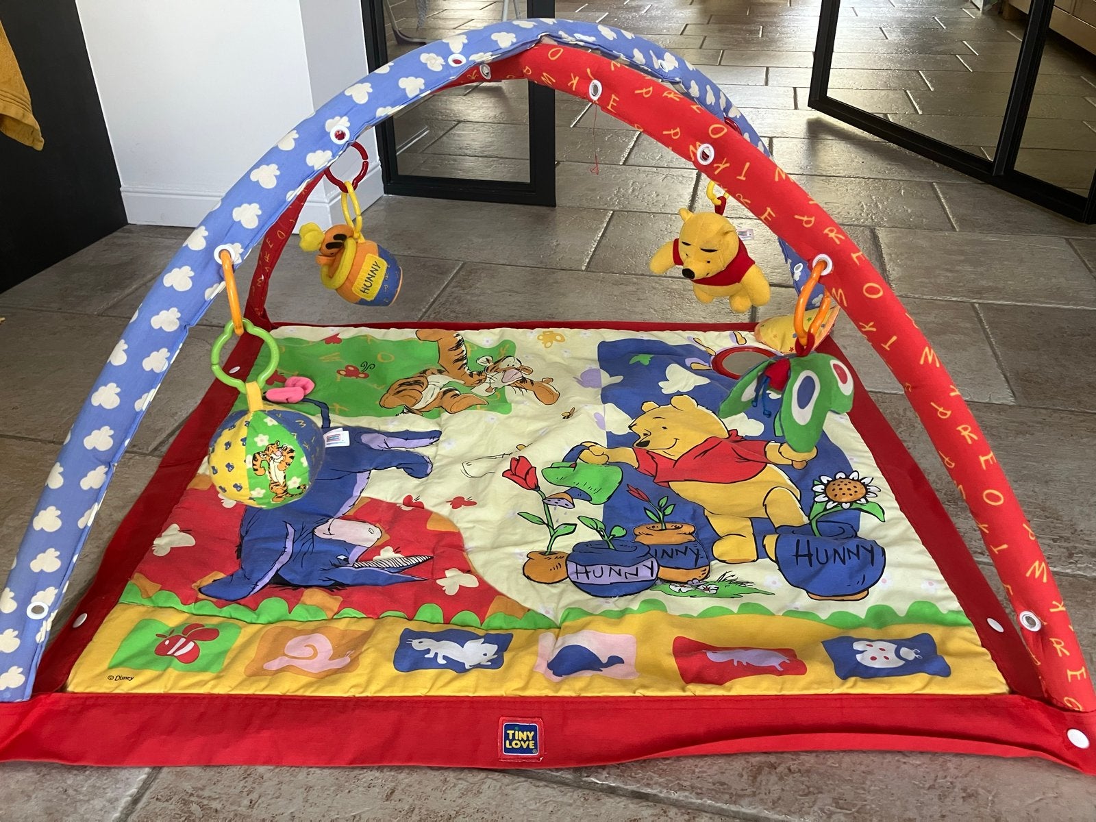 Tiny Love Winnie de Poeh Speelkleed met Babygym, Ophalen, Gebruikt, Babygym