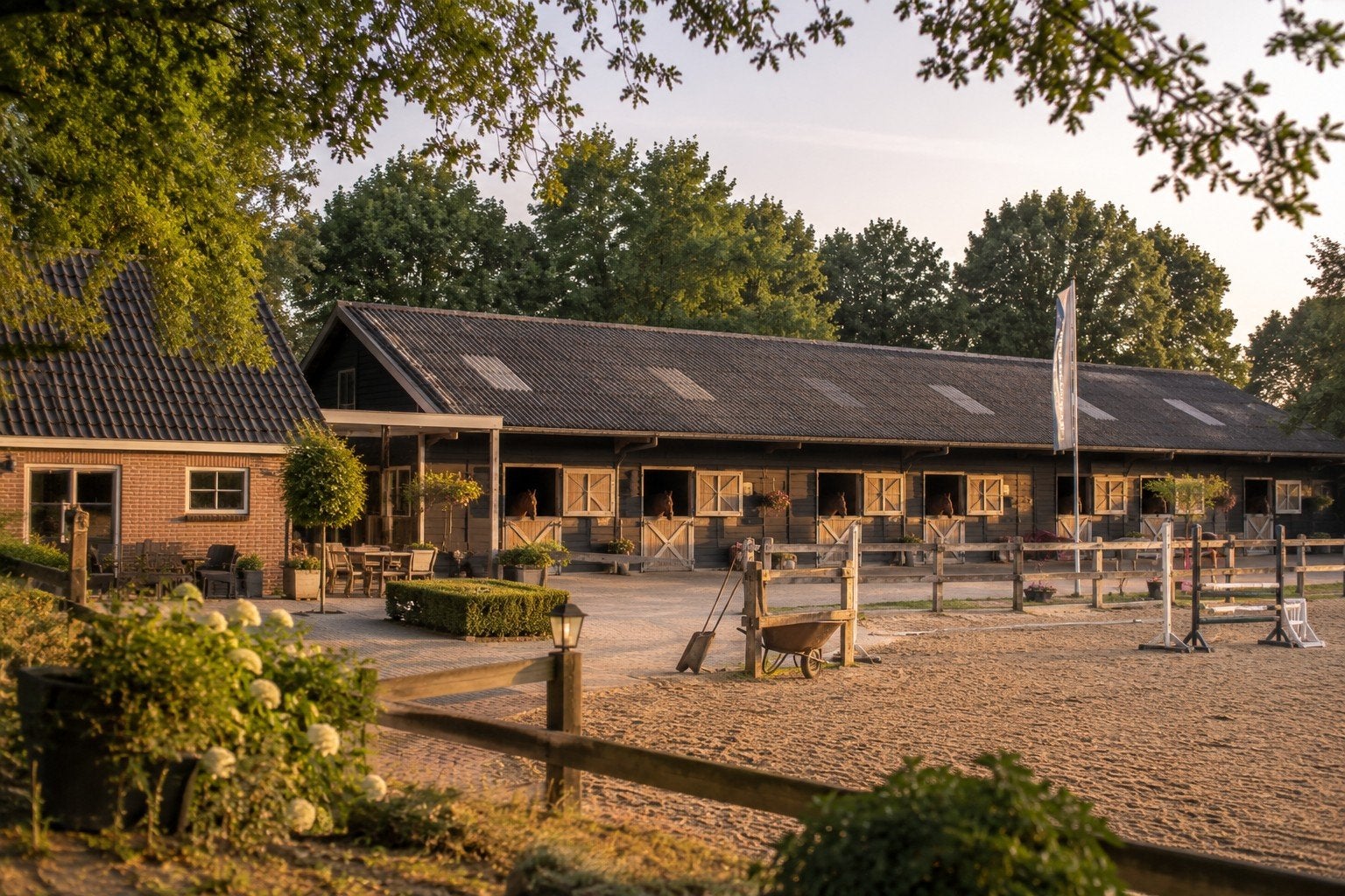 wij zoeken een manege ter overname, Dieren en Toebehoren, Stalling en Weidegang, Weidegang