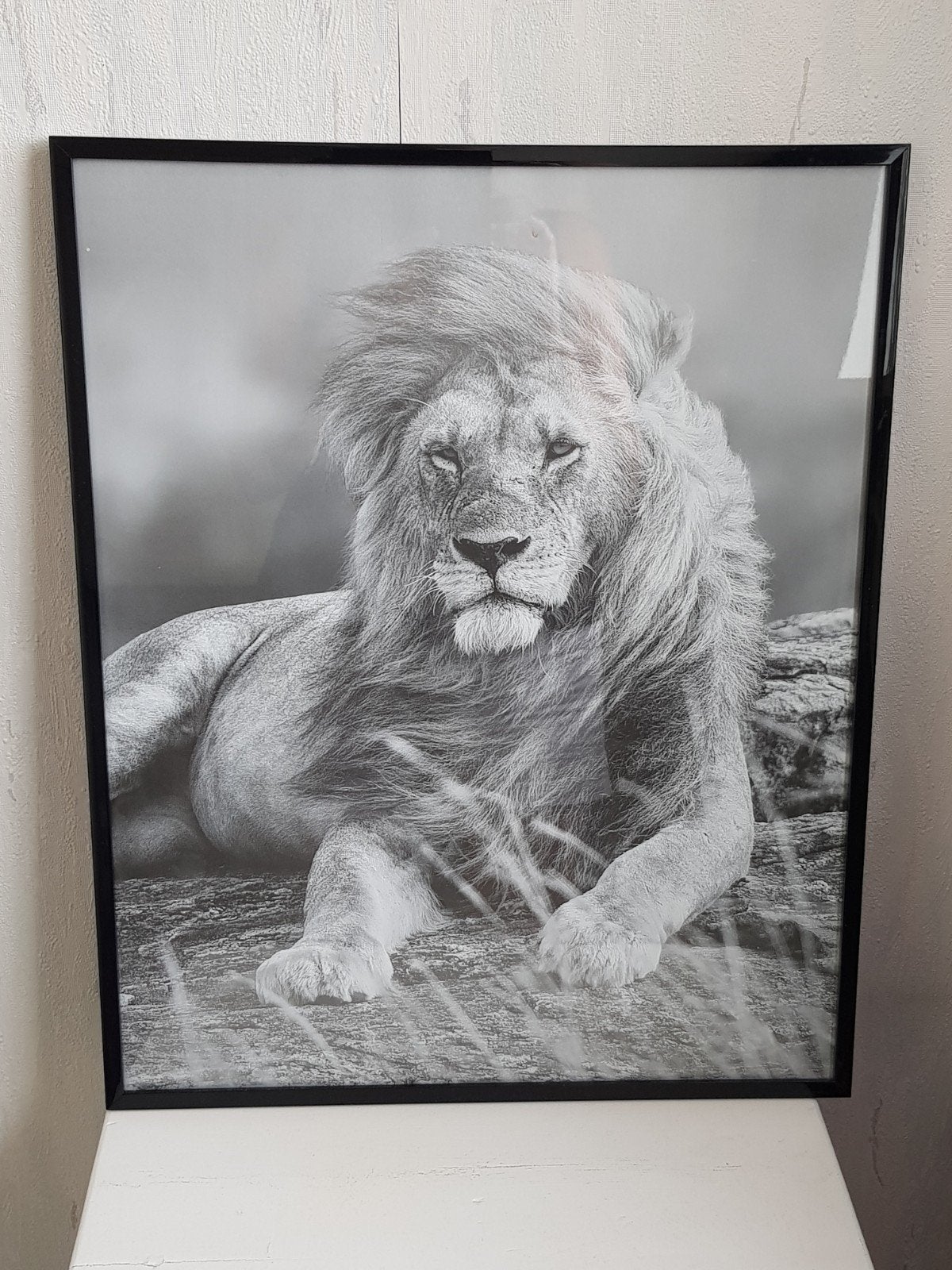 schilderij met leeuw, 51x41cm., Ophalen, 50 – 75, Minder dan 50 cm, Zo goed als nieuw