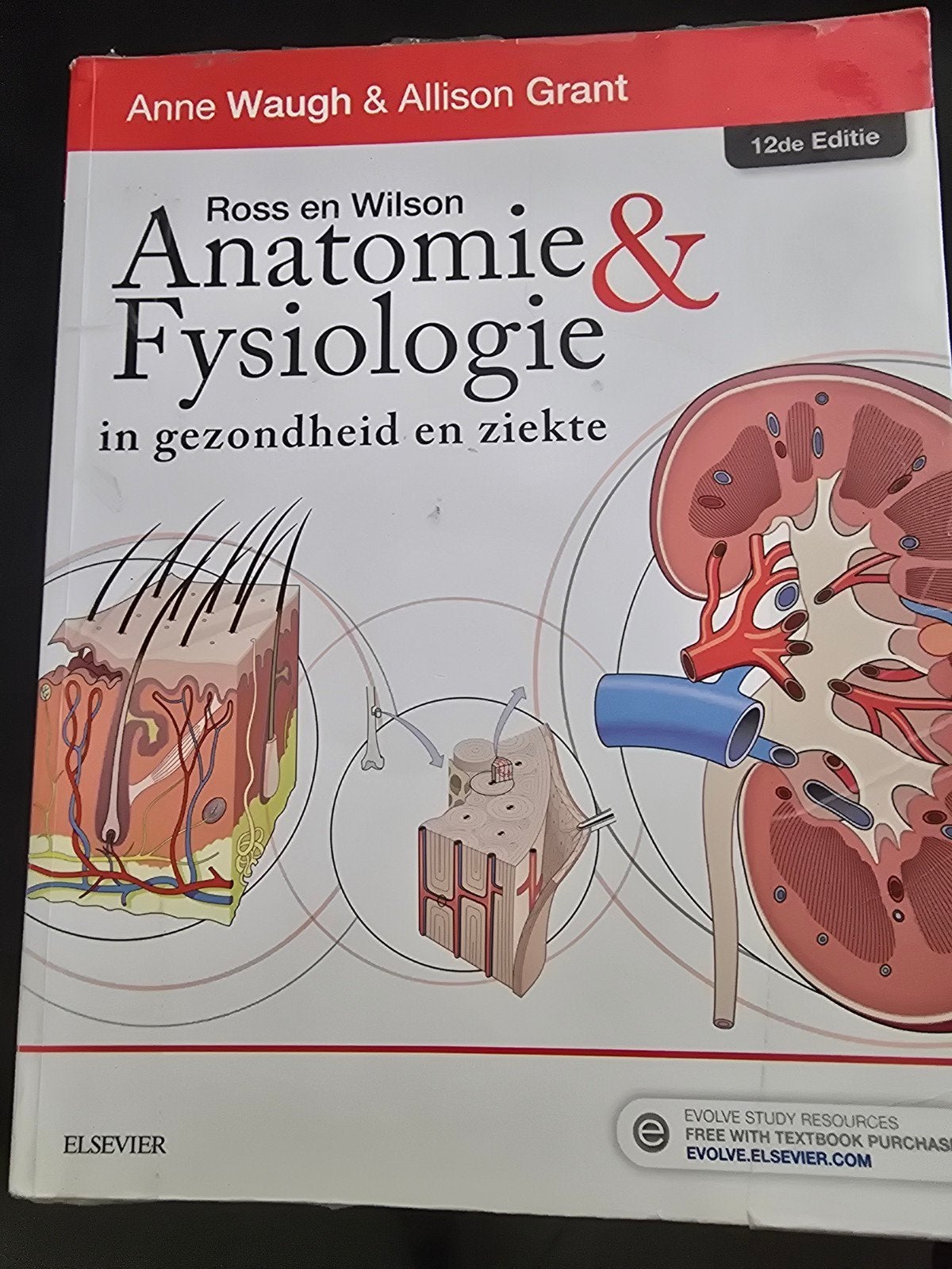 Ross en Wilson Anatomie & Fysiologie - 12e Editie, Ophalen of Verzenden, Zo goed als nieuw, Anne Waugh & Allison Grant, Beta