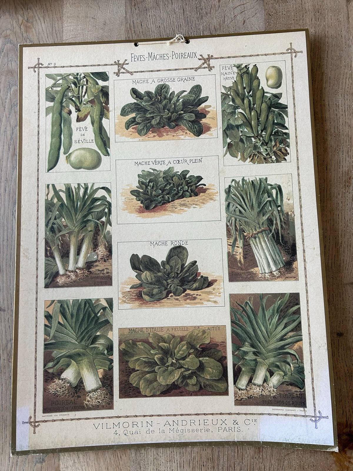 Vintage Botanische Print: Groenten - Vilmorin-Andrieux, Ophalen of Verzenden, Natuur en Biologie