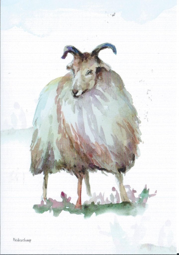 Heideschaap-ree en grove den 2 ansichtkaartenvan vogels en, Verzenden, 1980 tot heden, Vogel