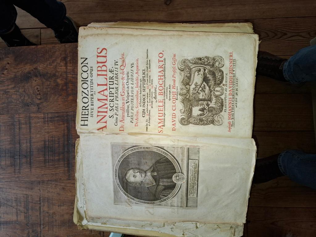 Hierozicon sive Bipartitum Opus de Animalibus - Samuel Bocha, Ophalen of Verzenden, Samuel Bochart