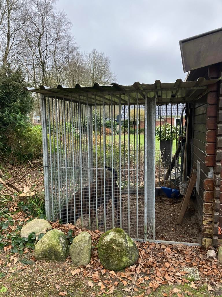 Kennel, Ophalen, Hondenkennel, 100 cm of meer, 110 cm of meer