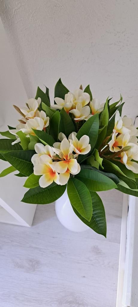 Plumeria kunstboeket, Ophalen