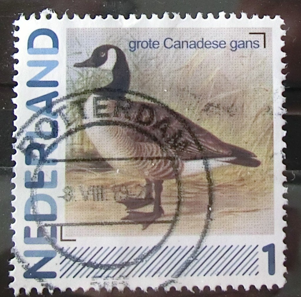 persoonlijke postzegel, Vogels, gest (lees aub), Ophalen of Verzenden, Na 1940, Gestempeld