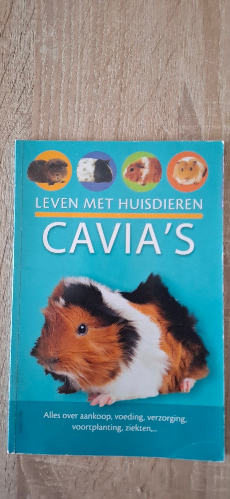 Cavia's en knaagdieren informatie, Ophalen of Verzenden, Nieuw, Konijnen of Knaagdieren