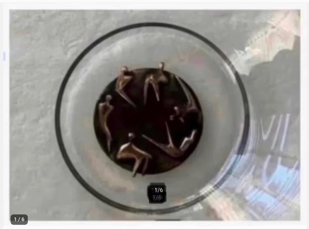 2 Glas Art-Hove schaal, brons C. Ammerlaan pr.p.stuk, Huis en Inrichting, Woonaccessoires | Schalen en Manden, Schaal, Rond, Ophalen of Verzenden