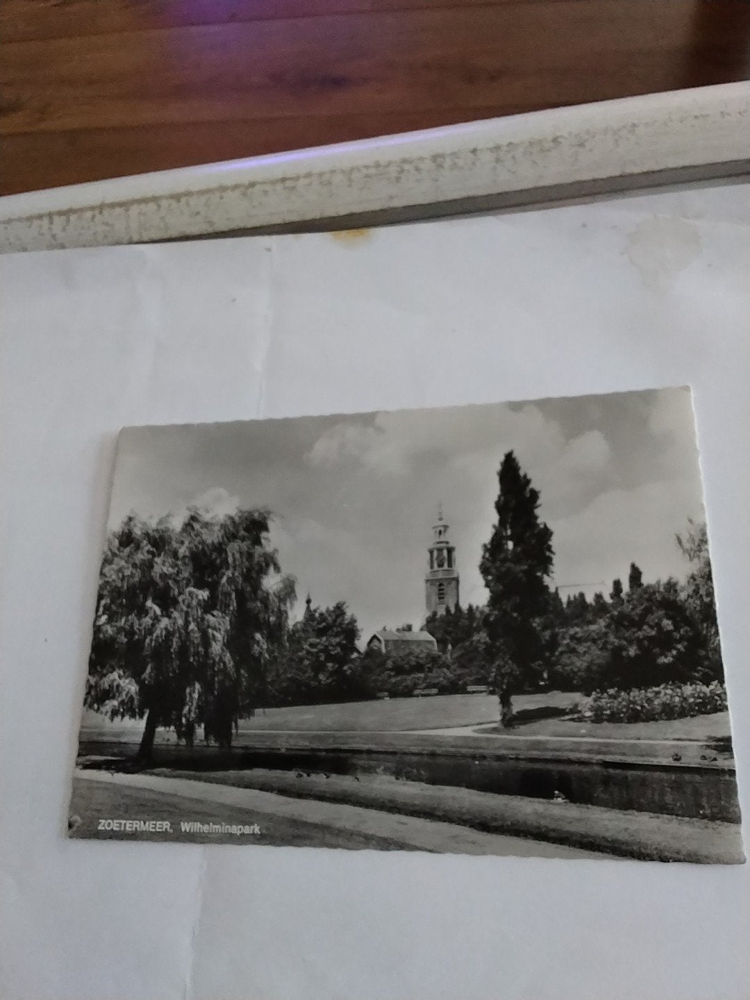 Oude Ansichtkaart Zoetermeer Wilhelminapark, Verzamelen, Ansichtkaarten | Nederland, Ophalen of Verzenden, 1940 tot 1960, Ongelopen