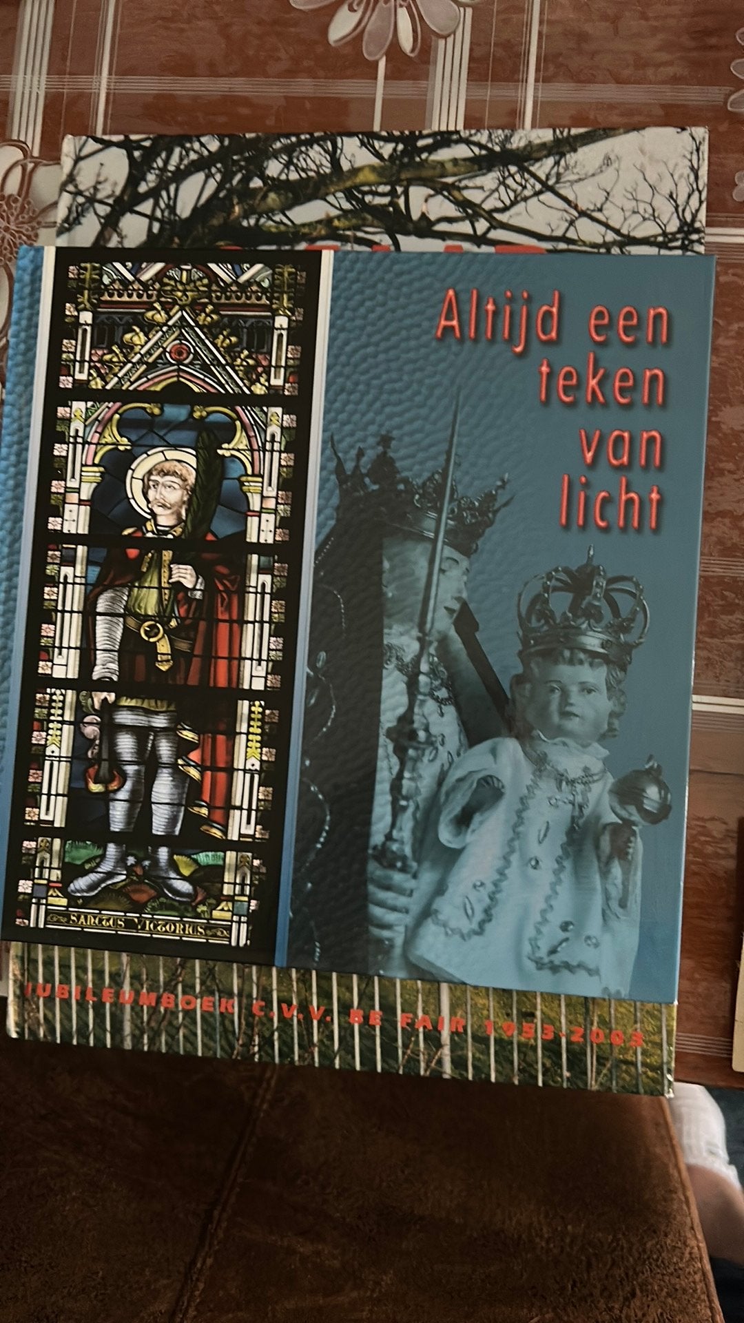 Waddinxveen , - altyd een teken van licht, Ophalen of Verzenden, Zo goed als nieuw