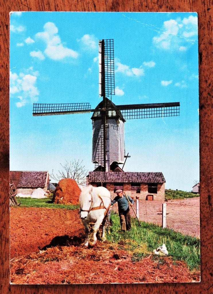 Molen met Paard en boer ( Zundert? ), Ophalen of Verzenden, Voor 1920, Noord-Brabant