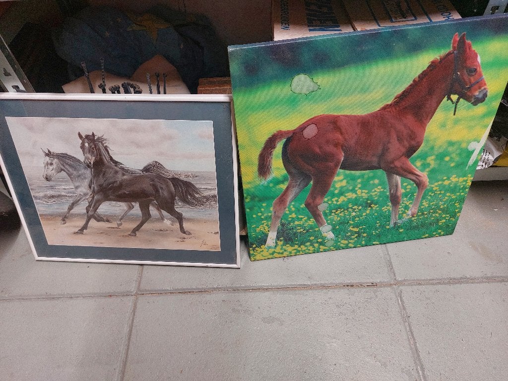 2 schilderyen met paard erop, Ophalen of Verzenden, Zo goed als nieuw