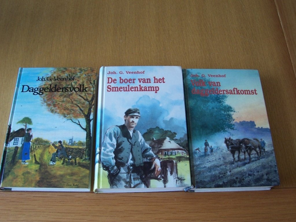 Joh G Veenhof deel 1 t/m 3 Daggeldersvolk, Ophalen of Verzenden, Zo goed als nieuw