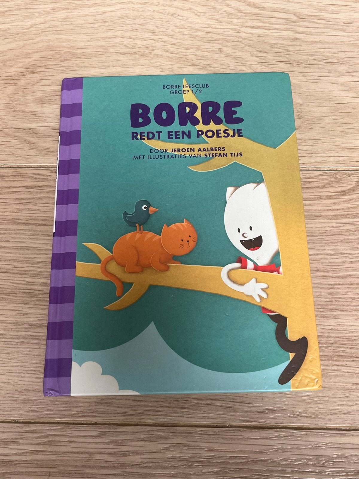 Borre boekje, 5 of 6 jaar, Fictie algemeen, Jongen of Meisje, Ophalen of Verzenden
