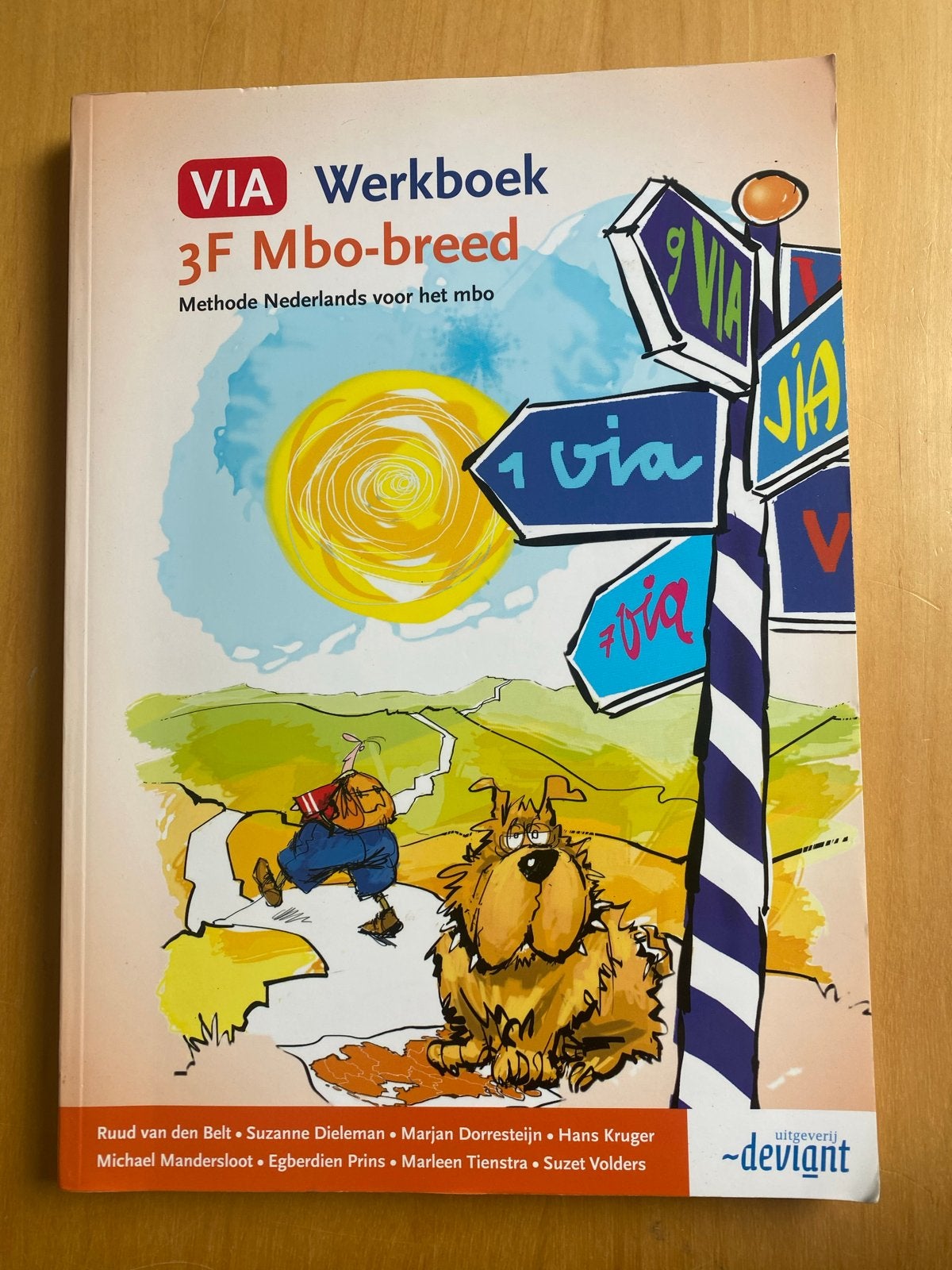 VIA Werkboek 3F Mbo-breed Nederlands, Boeken, Ophalen of Verzenden, Alpha, Zo goed als nieuw, MBO
