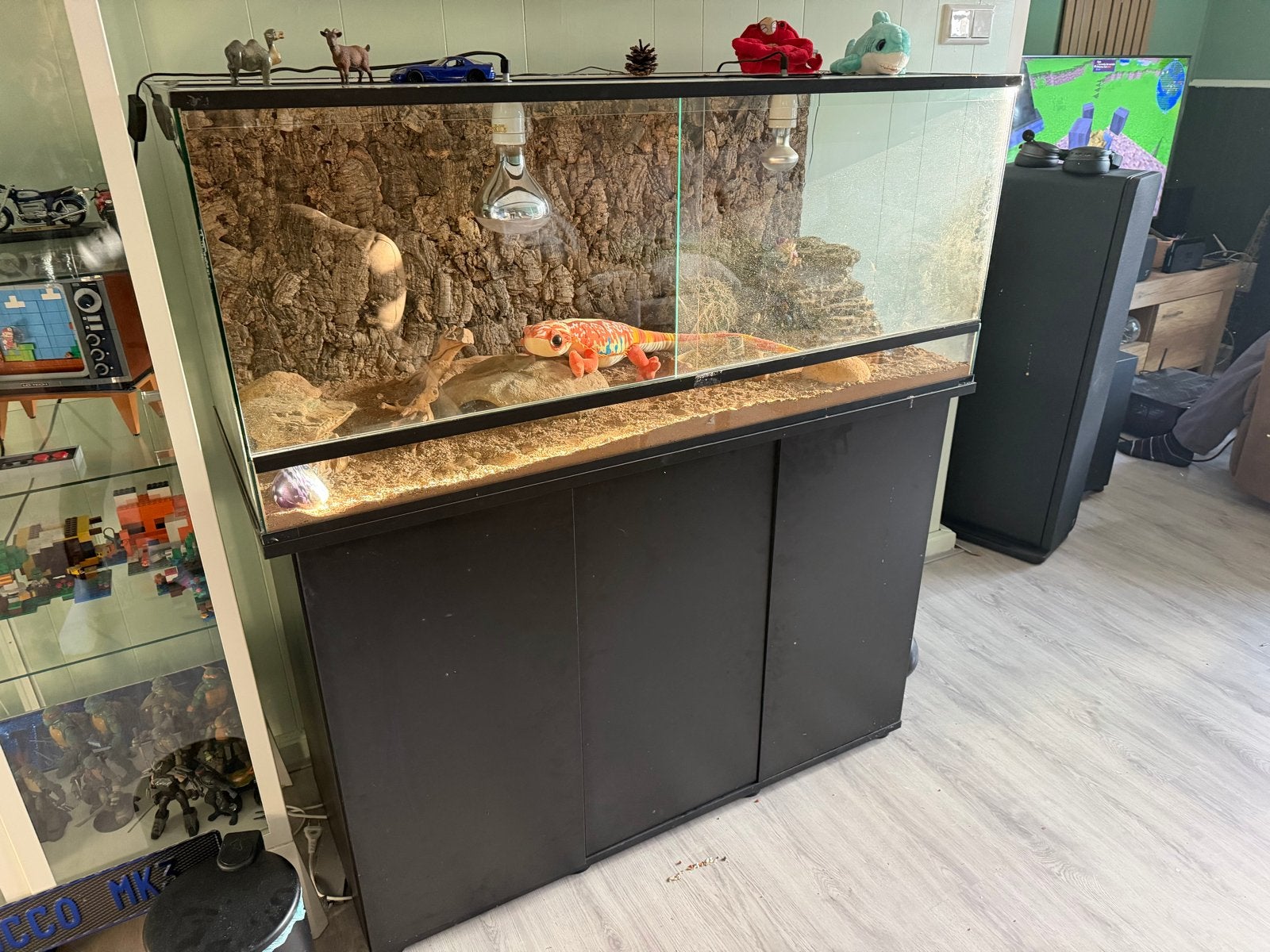 Terrarium 120cm met veel extras, Ophalen, Zo goed als nieuw, Terrarium of Paludarium