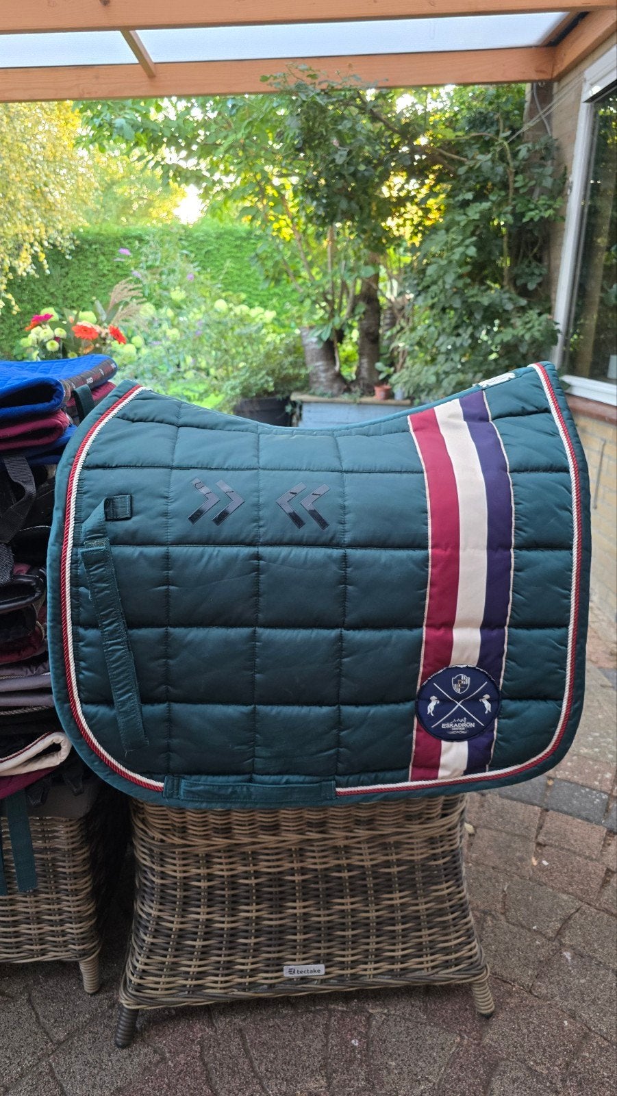 Eskadron FULL, Ophalen of Verzenden, Dressuur