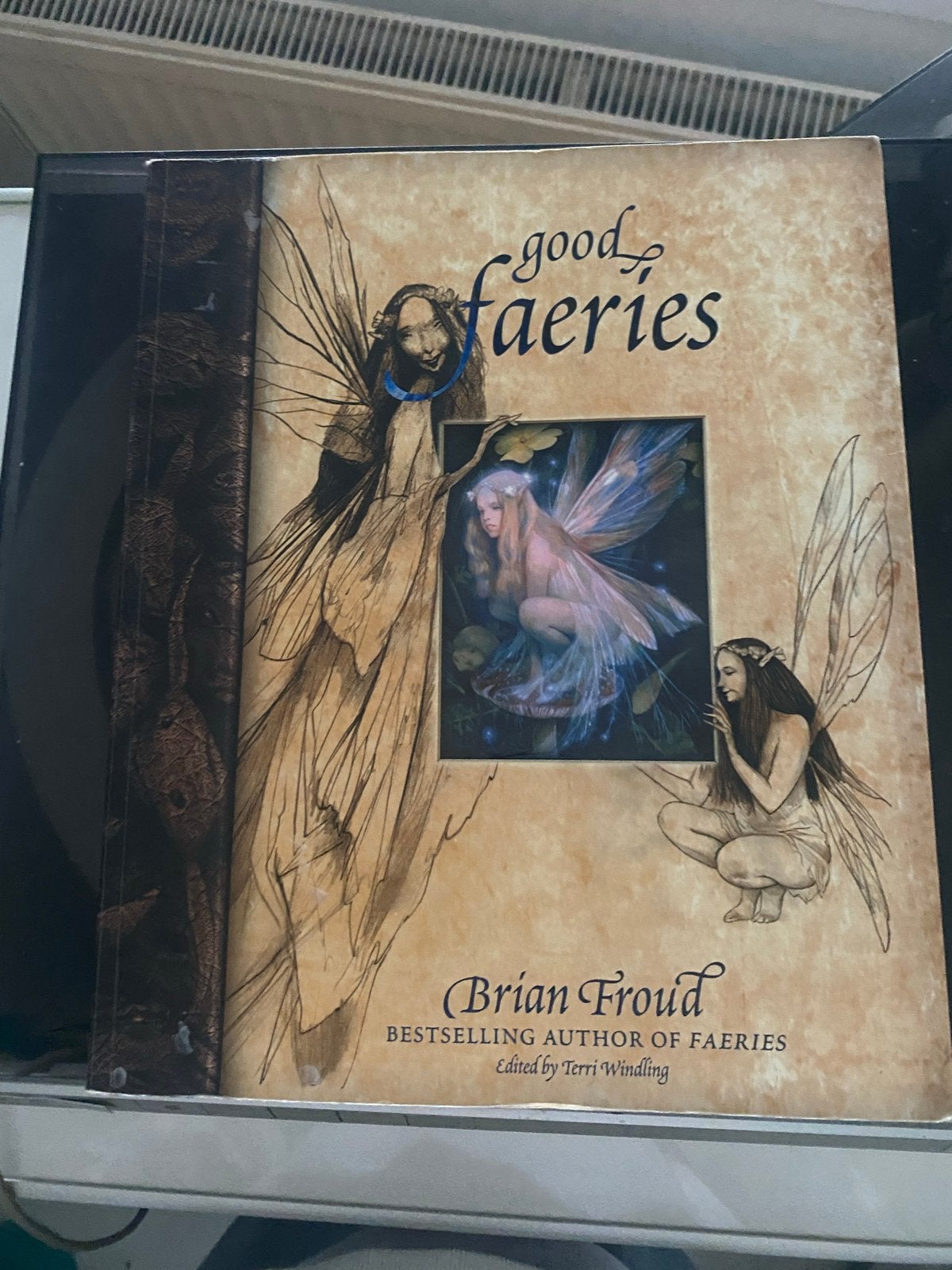 Good Faeries/Bad Faeries - Brian Froud (Hardcover), Ophalen of Verzenden, Zo goed als nieuw