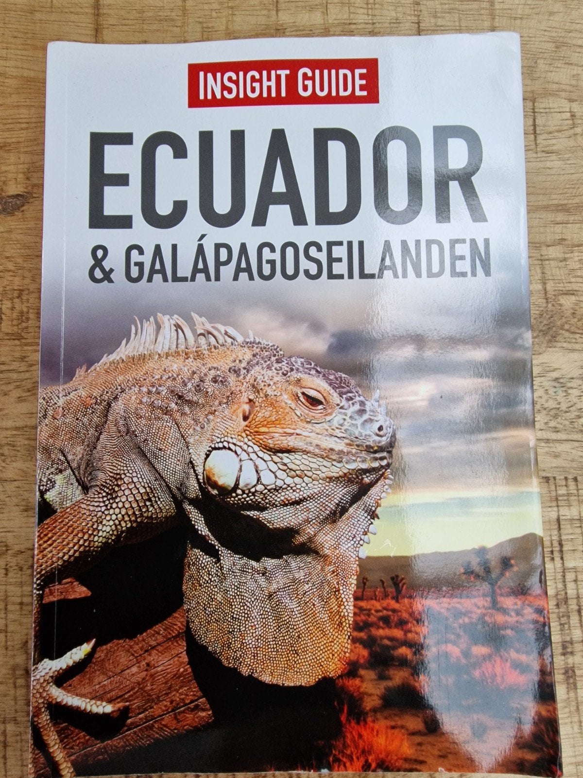 Insight Guide Ecuador & Galápagoseilanden Reisgids, Boeken, Reisgidsen, Overige merken, Ophalen of Verzenden, Reisgids of -boek