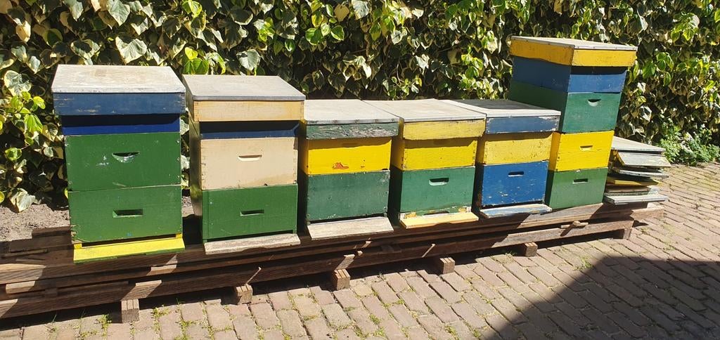 Bijenkasten type Spaarkast, Dieren en Toebehoren, Insecten en Spinnen, Bijen