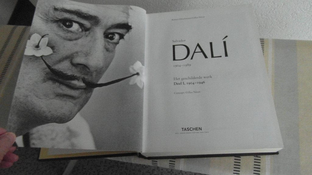 Salvador DALÍ ; het geschilderde werk ; groot dik boek, Boeken, Kunst en Cultuur | Beeldend, Ophalen of Verzenden, Zo goed als nieuw