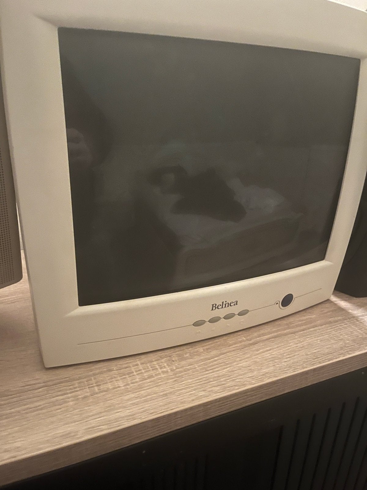 Belinea CRT Monitor Model 103035 - Vintage Scherm, Gaming, Gebruikt, Ophalen of Verzenden, Overige typen