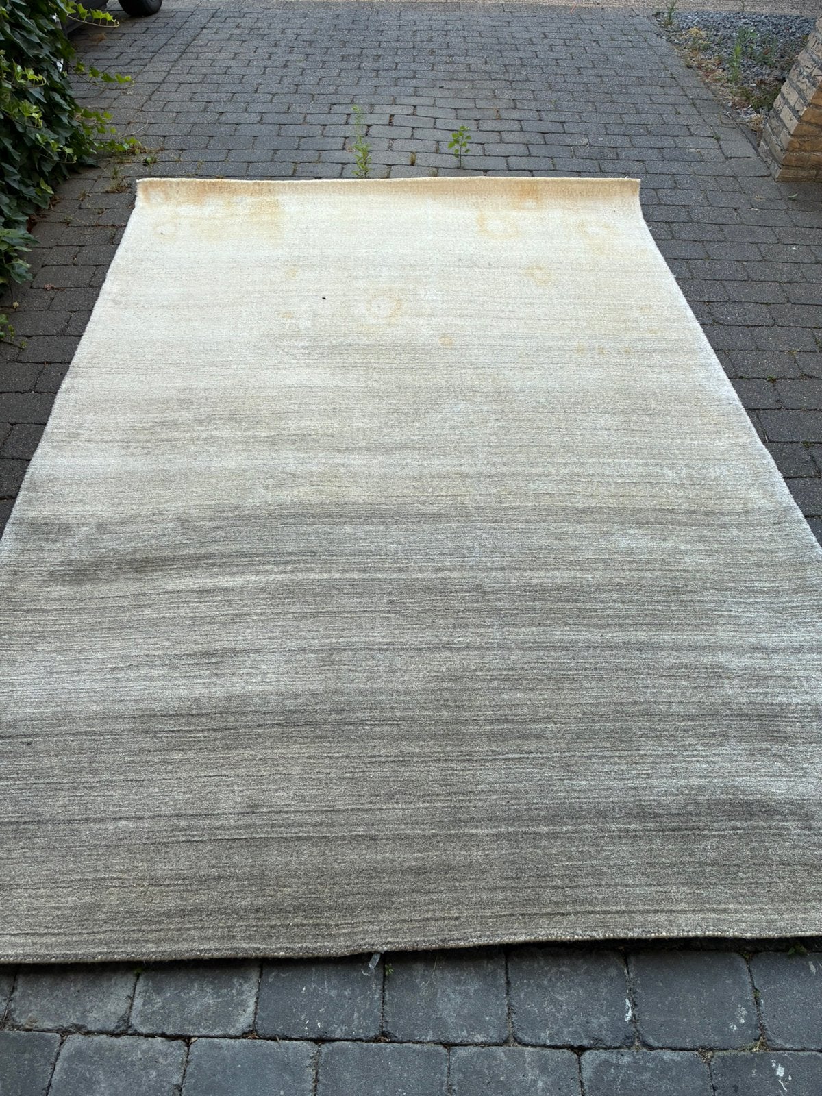 Vloerkleed met vlekken, Ophalen, Gebruikt, Rechthoekig, 200 cm of meer