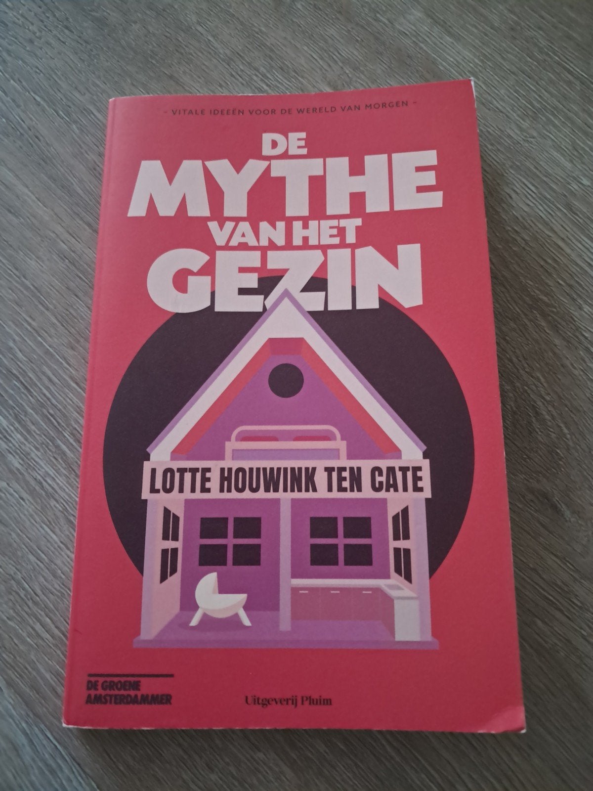 De Mythe van het Gezin - Lotte Houwink ten Cate, Ophalen of Verzenden, Zo goed als nieuw, Lotte Houwink ten Cate, Nederland