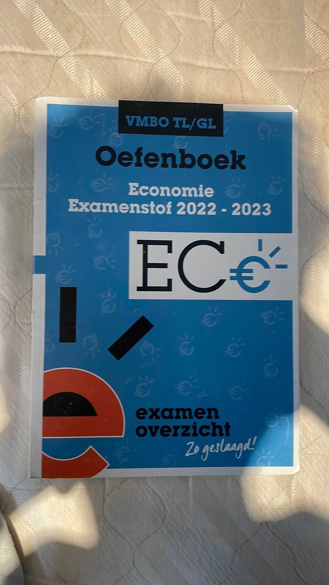 Onbeschreven economie oefenboek vmbo tl/gl, Boeken, Ophalen of Verzenden, Zo goed als nieuw, VMBO, Economie